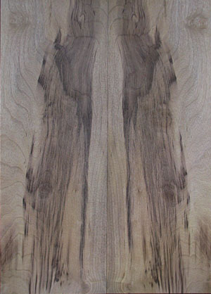 myrtlewood burl 17
